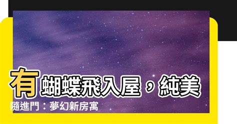 房間出現蝴蝶|蝴蝶飛入屋，風水大師：喜事將近